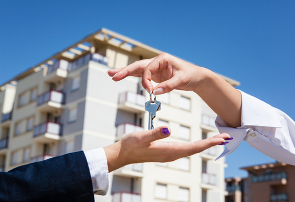 Landlords Banner